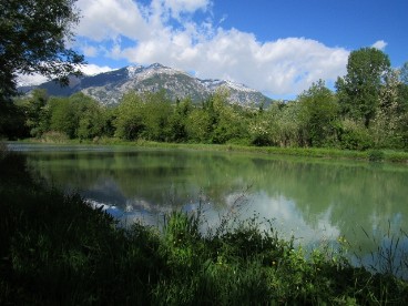 Natural Swimming Pool